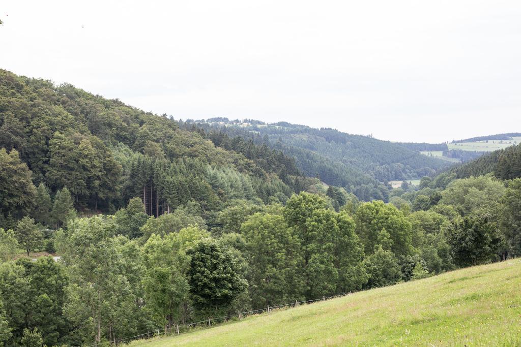 Ferienwohnung Ruhenest Willingen  Exterior foto